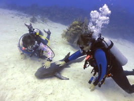 128 Petting Mrs. Fin IMG 6114